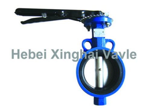 A Butterfly Valve